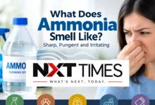 What Does Ammonia Smell Like